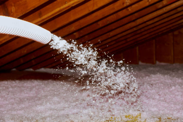 Best Crawl Space Insulation  in Sacramento, CA