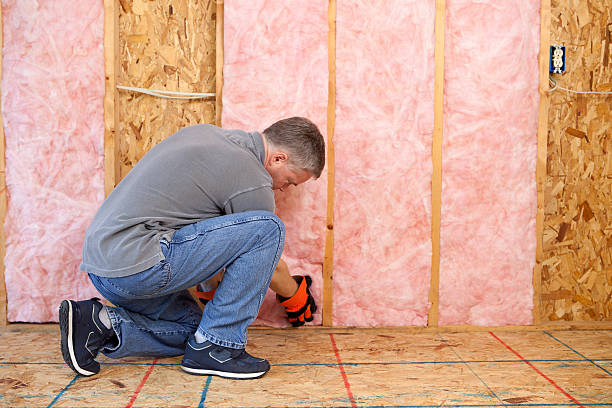 Best Attic Insulation Installation  in Sacramento, CA